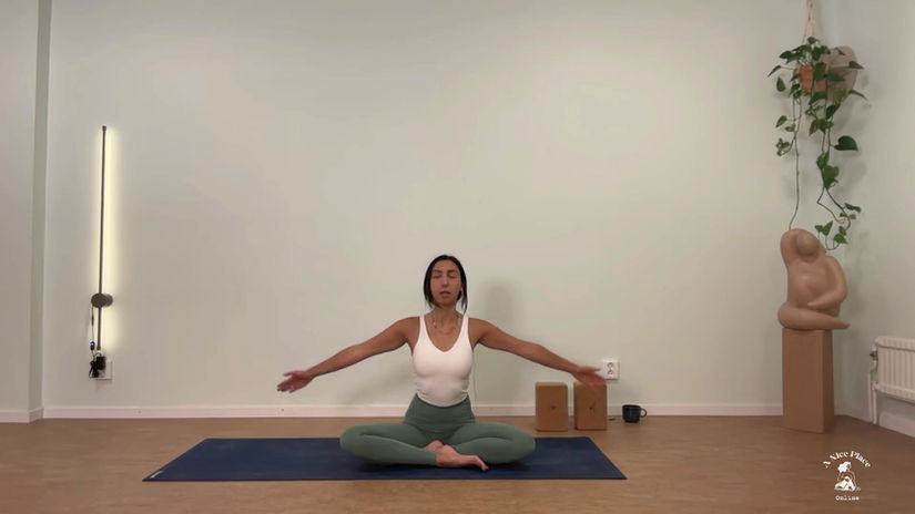 Slow-paced grounding hatha practice